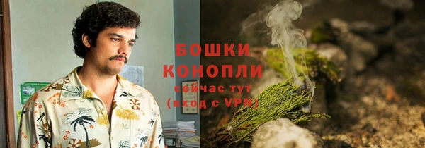 трава Армянск