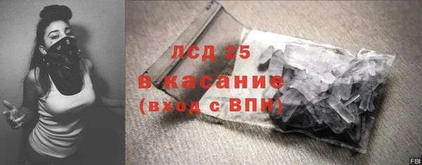 молекула духа Арсеньев