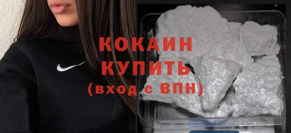 молекула духа Арсеньев