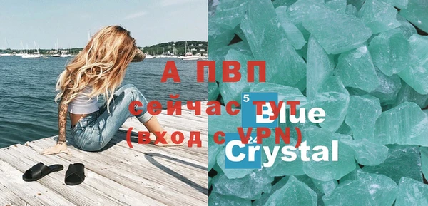 молекула духа Арсеньев