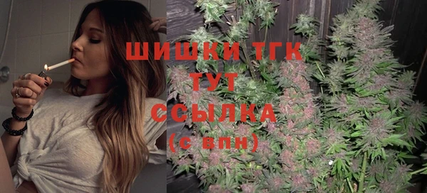 молекула духа Арсеньев