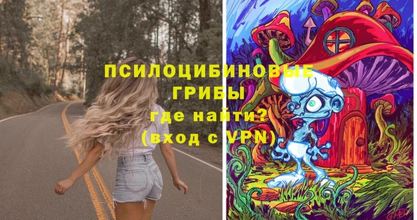 молекула духа Арсеньев