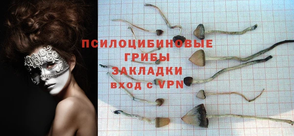 молекула духа Арсеньев