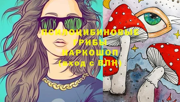 трава Армянск